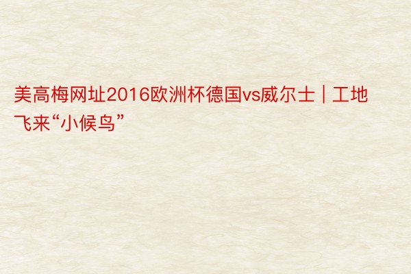 美高梅网址2016欧洲杯德国vs威尔士 | 工地飞来“小候鸟”